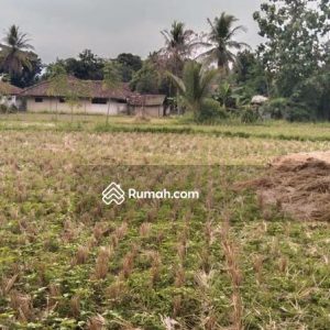 Dijual Tanah bonus Bangunan Samping Jalan Bojongpicung