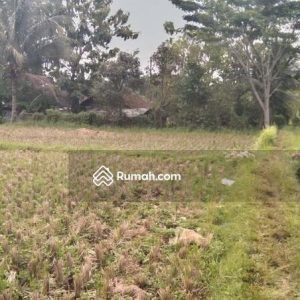 Dijual Tanah bonus Bangunan Samping Jalan Bojongpicung
