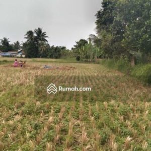 Dijual Tanah bonus Bangunan Samping Jalan Bojongpicung