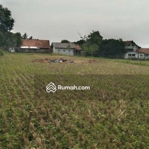 Dijual Tanah bonus Bangunan Samping Jalan Bojongpicung
