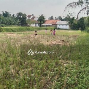 Dijual Tanah bonus Bangunan Samping Jalan Bojongpicung