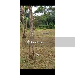 Dijual Tanah Dati I dan II Bonus Bangunan dekat Puncak Pacet