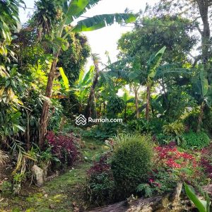 Dijual Villa Luas Hitung Tanah Saja di Area Coolibah, Cipanas