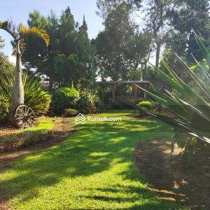 Dijual Villa Luas Hitung Tanah Saja di Area Coolibah, Cipanas