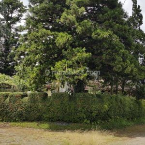 Dijual Villa Damar Indah Pacet