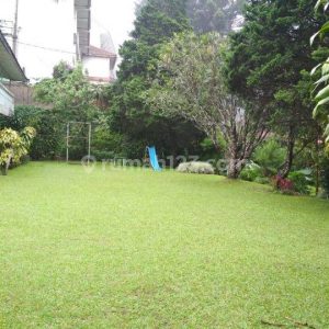 Dijual Tanah di Jl Raya Ciloto, Cipanas