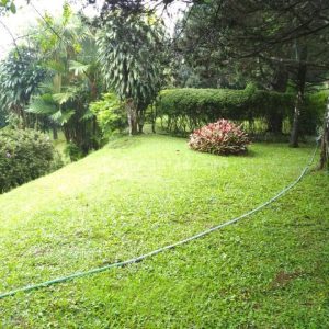 Dijual Tanah di Jl Raya Ciloto, Cipanas