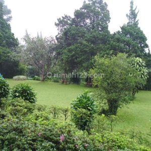 Dijual Tanah di Jl Raya Ciloto, Cipanas