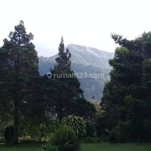 Dijual Tanah di Jl Raya Ciloto, Cipanas