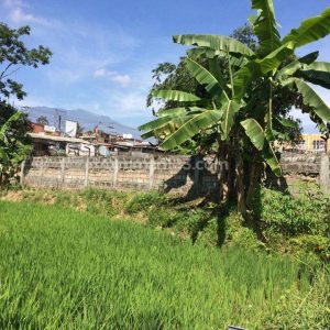 Dijual Tanah dan Bangunan Rumah di Sukanagalih Pacet