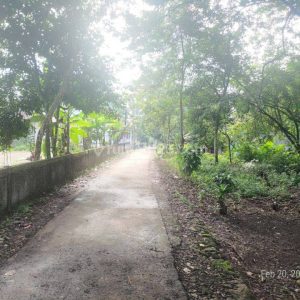 Dijual Tanah Padat di Ciranjang