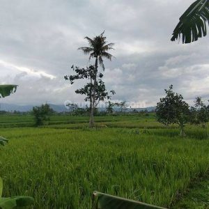Dijual Tanah Strategis di Limbangansari, Cianjur Kota