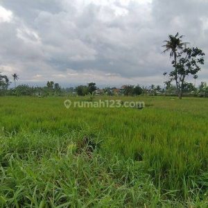 Dijual Tanah Strategis di Limbangansari, Cianjur Kota