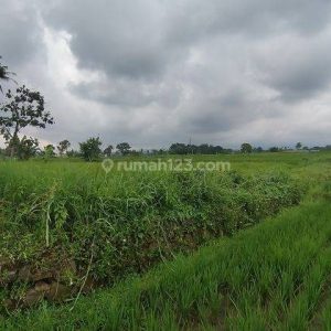 Dijual Tanah Strategis di Limbangansari, Cianjur Kota