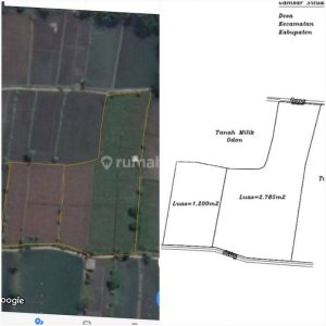 Dijual Tanah Sawah Produktif di Karangtengah