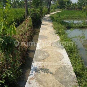 Dijual Tanah Sawah Produktif di Karangtengah