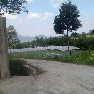 Dijual Tanah Darat di Cipanas