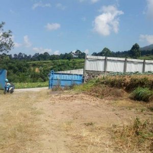 Dijual Tanah Darat di Cipanas