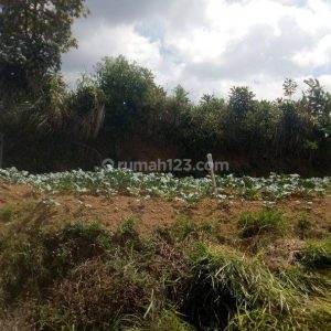 Dijual Tanah Darat di Cipanas