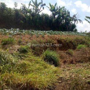 Dijual Tanah Darat di Cipanas