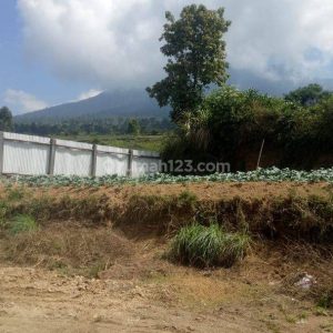 Dijual Tanah Darat di Cipanas