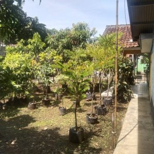 [C1963] Dijual Rumah di Haurwangi Cianjur