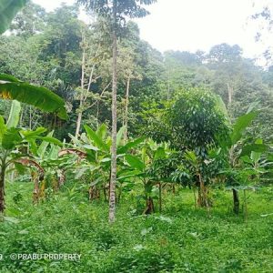 [C1954] Jual Tanah di Sindanglaka Cianjur