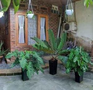 [C1991] Dijual Rumah Asri di Cianjur Kota