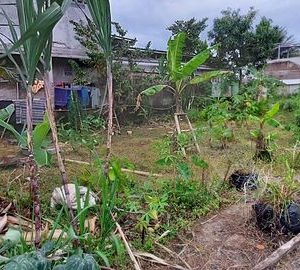 [C1988] Dijual Tanah di Sabandar Hilir Karang Tengah