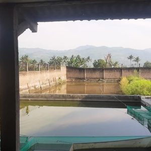 [C1962] Dijual Tanah Bangunan di Cikalong Kulon Cianjur