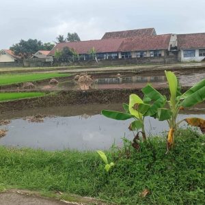 [C1942] Jual Sawah Tanah Mande Cianjur