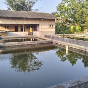 [C1970] Dijual Tanah + Kolam di Panembong