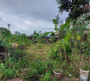 [C1988] Dijual Tanah di Sabandar Hilir Karang Tengah