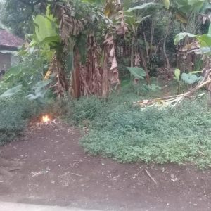 [C1977] Dijual Tanah di Sukaluyu Cianjur