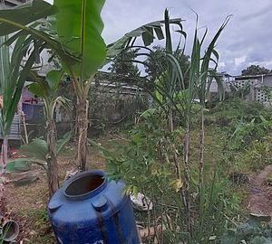 [C1988] Dijual Tanah di Sabandar Hilir Karang Tengah