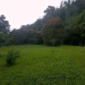[C1999] Dijual Tanah Dan Bangunan di Gekbrong Cianjur