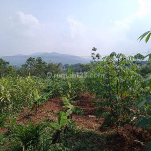[C2010] Dijual Tanah di Mande