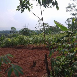 [C2010] Dijual Tanah di Mande