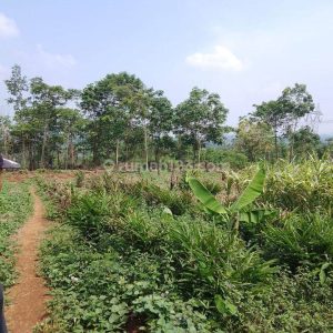 [C2010] Dijual Tanah di Mande