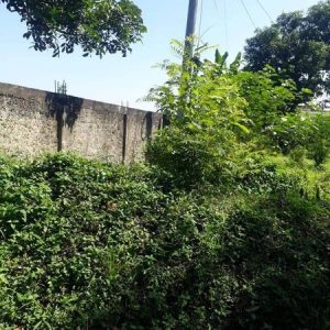 [C2008] Dijual Tanah di Ciranjang Cianjur